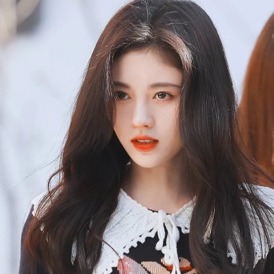 春燕展翅