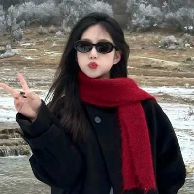 少林与咏春粤语